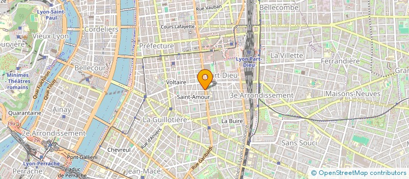 localisation de l'entreprise MADAME HELENE FOURNET  LYON