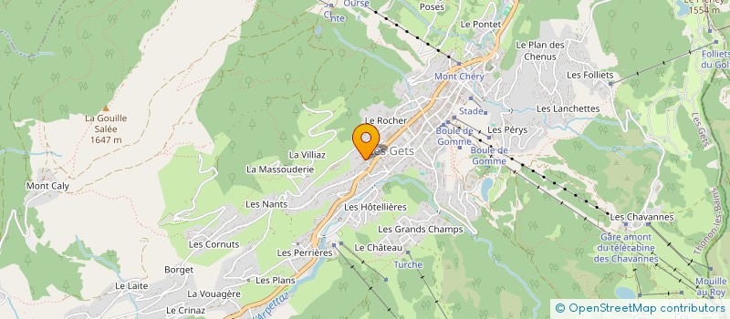 localisation de l'entreprise MADAME HELENE GOSSE  LES GETS