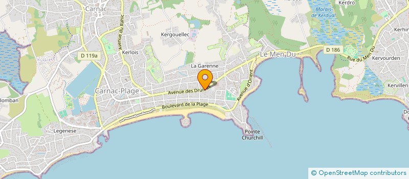 localisation de l'entreprise MADAME HELENE LE NET  CARNAC