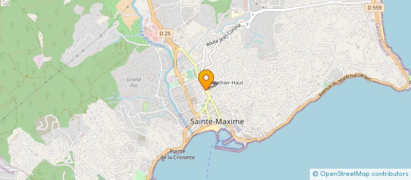 localisation de l'entreprise MADAME HELENE LEGER à SAINTE-MAXIME