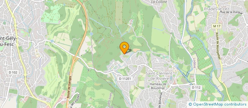 localisation de l'entreprise MADAME HELENE MANZANARES  SAINT-CLEMENT-DE-RIVIERE