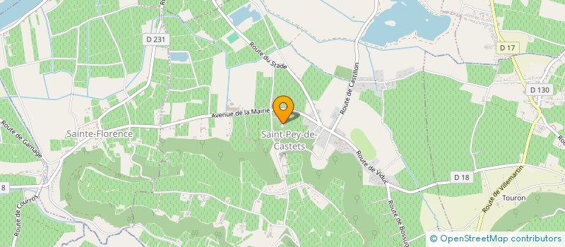 localisation de l'entreprise MADAME HELENE MOUYNAT  SAINT-PEY-DE-CASTETS