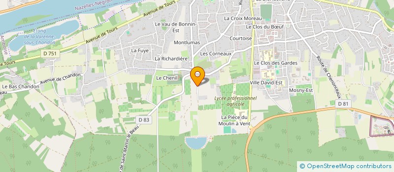 localisation de l'entreprise MADAME HELENE ODETTE SUZANN DUPISSON  AMBOISE