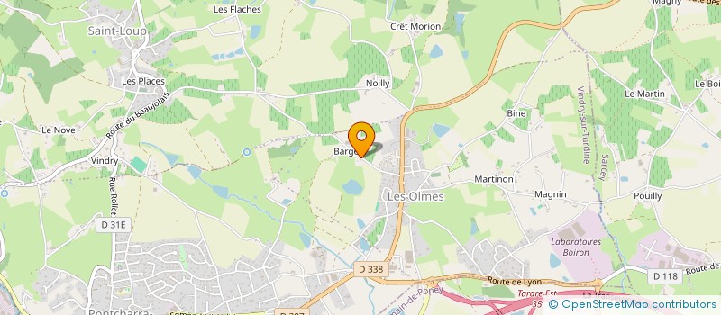 localisation de l'entreprise MADAME HELENE PALISSON  VINDRY-SUR-TURDINE