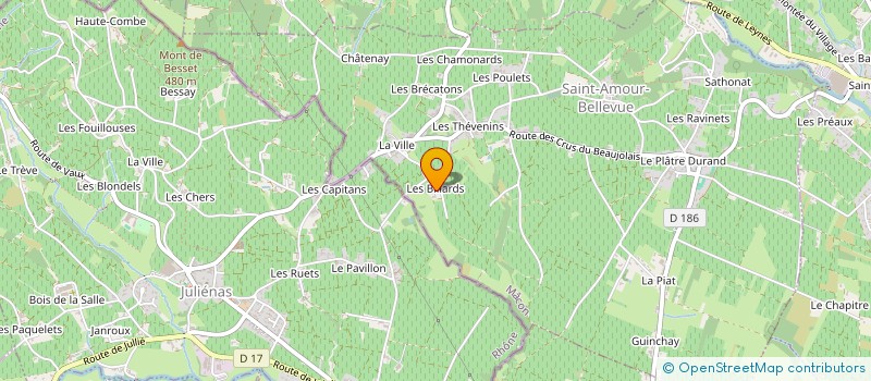 localisation de l'entreprise MADAME HELENE PAUL-DAUPHIN  SAINT-AMOUR-BELLEVUE