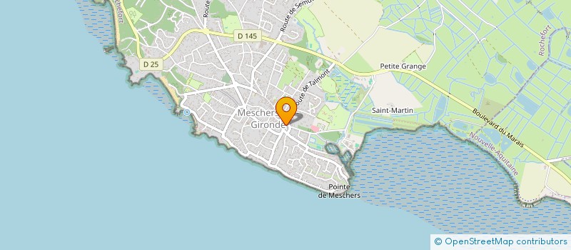 localisation de l'entreprise MADAME HELENE PAVIOT à MESCHERS-SUR-GIRONDE