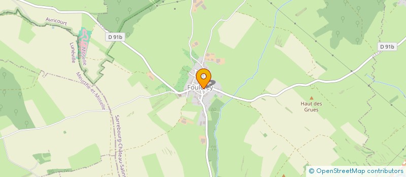 localisation de l'entreprise MADAME HELENE PETRONIN  FOULCREY