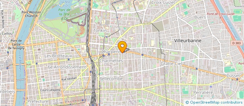 localisation de l'entreprise MADAME HELENE RAFFAELLI  VILLEURBANNE