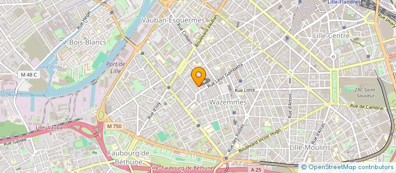 localisation de l'entreprise MADAME HELENE RODRIGUES à LILLE
