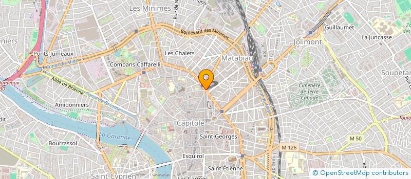localisation de l'entreprise MADAME HELENE THIERCELIN à TOULOUSE