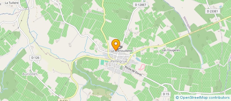 localisation de l'entreprise MADAME HELLYETTE PELIN  PELLEGRUE