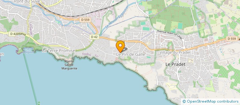 localisation de l'entreprise MADAME HELOISE MIRO  LE PRADET