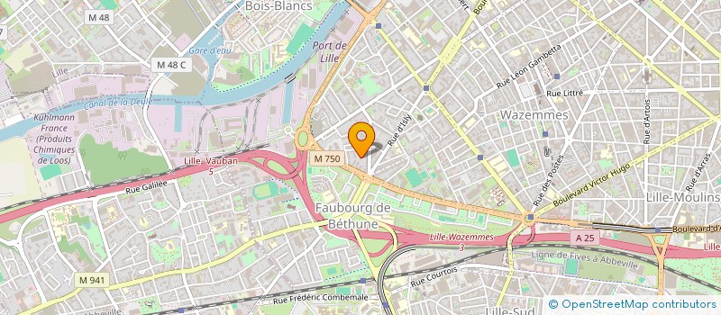 localisation de l'entreprise MADAME HELOISE RIDOUX à LILLE