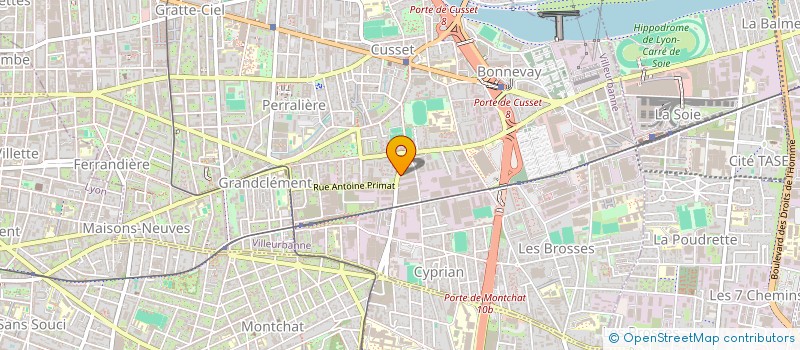 localisation de l'entreprise MADAME HENITSONIRINA RAKOTOARISOA  VILLEURBANNE