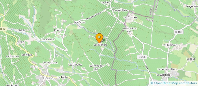 localisation de l'entreprise MADAME HENRIETTE CHIGNARD  FLEURIE