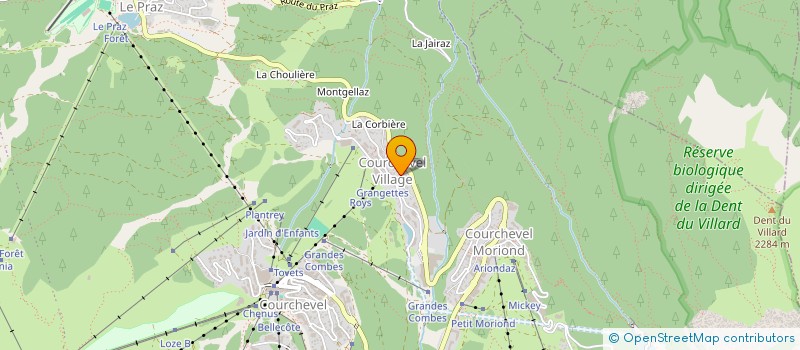 localisation de l'entreprise MADAME HENRIETTE THOMAS à COURCHEVEL