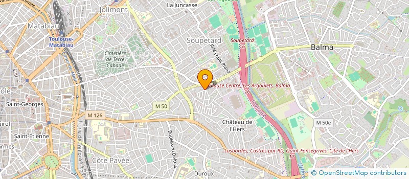 localisation de l'entreprise MADAME HENRIETTE TROUETTE à TOULOUSE