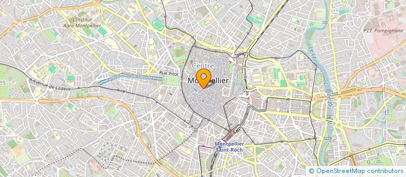 localisation de l'entreprise MADAME HIND SEDRATI  MONTPELLIER