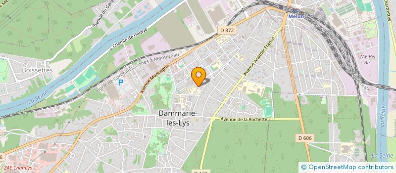 localisation de l'entreprise MADAME HONG LOAN ZABEE à DAMMARIE-LES-LYS