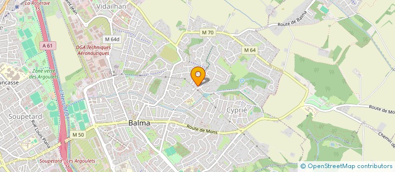 localisation de l'entreprise MADAME HORTENSE PENARD  BALMA