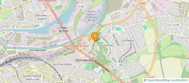 localisation de l'entreprise MADAME HORTENSE RAMON à MONDEVILLE