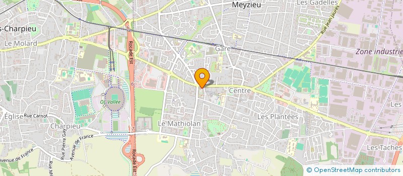 localisation de l'entreprise MADAME HORTENSE THEULET-LUZIE  MEYZIEU