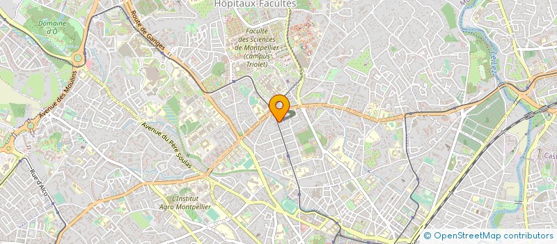 localisation de l'entreprise MADAME HUGUETTE JOLY à MONTPELLIER