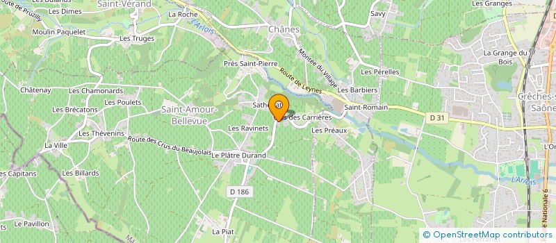 localisation de l'entreprise MADAME HUGUETTE TRANCHAND à SAINT-AMOUR-BELLEVUE