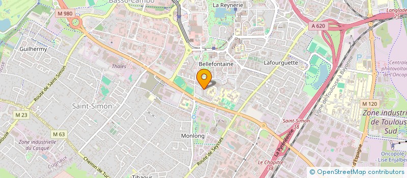 localisation de l'entreprise MADAME HYDURICH MANOKA  TOULOUSE