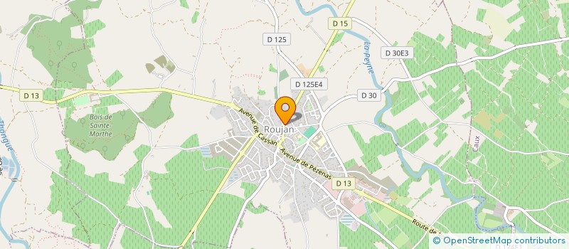 localisation de l'entreprise MADAME IDA LAURE BERENICE MOLLET  ROUJAN