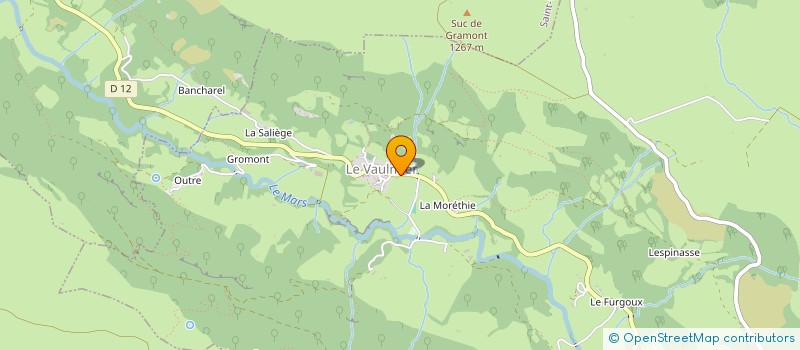 localisation de l'entreprise MADAME IGA BORKOWSKA à ANGLARDS-DE-SALERS