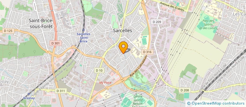 localisation de l'entreprise MADAME ILARIJA CERNAVSKA  SARCELLES