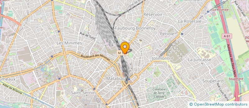 localisation de l'entreprise MADAME ILEANA GENOVENA GEORGESCU à TOULOUSE
