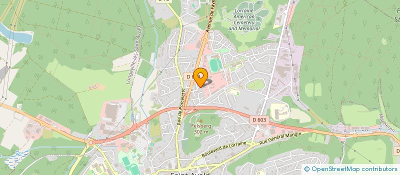 localisation de l'entreprise MADAME ILHAM SANNAD  SAINT-AVOLD