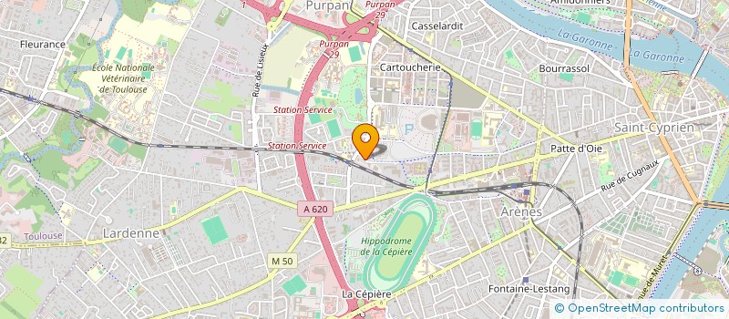 localisation de l'entreprise MADAME ILIANA PERALTA SOLIS  TOULOUSE