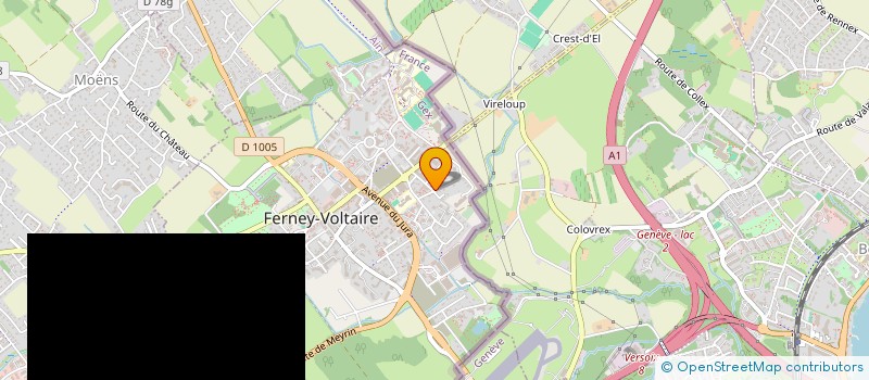 localisation de l'entreprise MADAME ILINA MANTA à FERNEY-VOLTAIRE