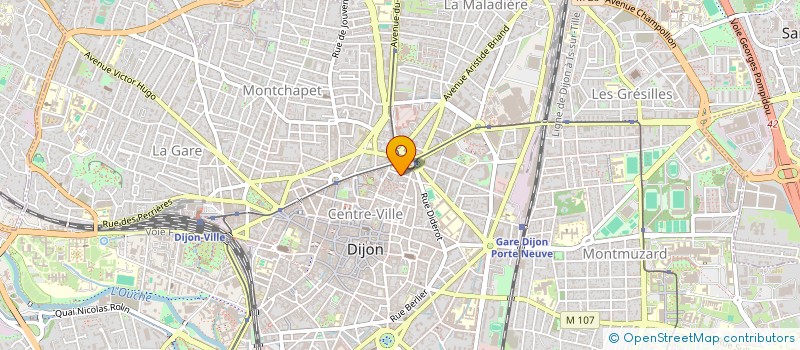 localisation de l'entreprise MADAME ILIRJANA PJETERNIKA VISHI  DIJON