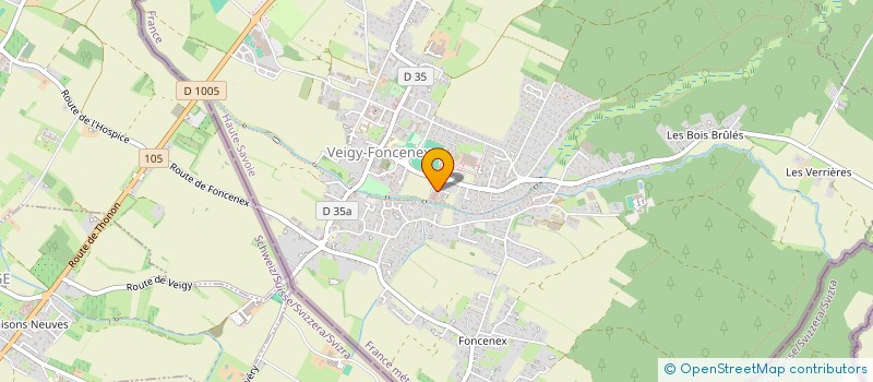 localisation de l'entreprise MADAME ILONA BALLAY  VEIGY-FONCENEX