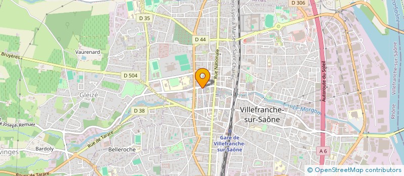 localisation de l'entreprise MADAME ILONA DUJARDIN-REY  VILLEFRANCHE-SUR-SAONE