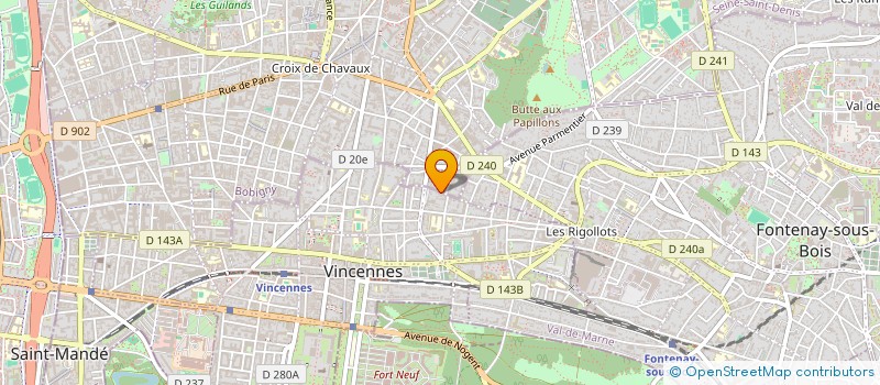 localisation de l'entreprise MADAME ILONA EEVA MARIA RIIKONEN  VINCENNES