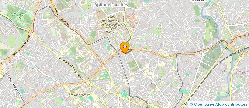 localisation de l'entreprise MADAME ILONA GUEDON à MONTPELLIER