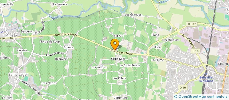 localisation de l'entreprise MADAME ILONA MANGANIELLO  BELLEVILLE-EN-BEAUJOLAIS