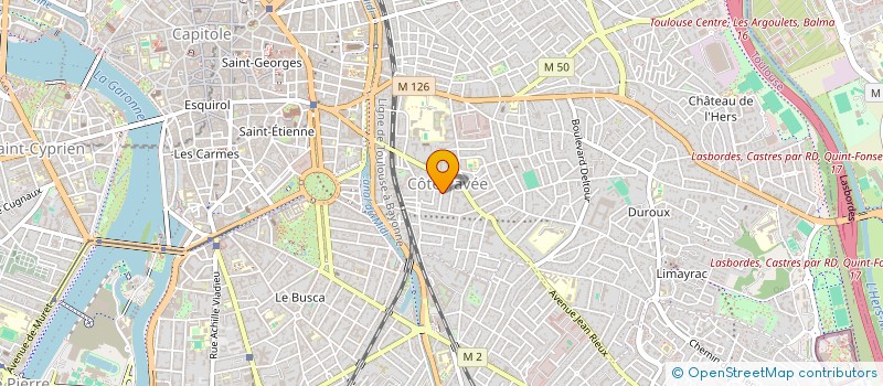 localisation de l'entreprise MADAME ILONA MARESCHAL à TOULOUSE