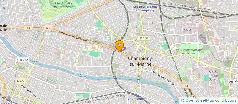 localisation de l'entreprise MADAME INA ONOFRAS  CHAMPIGNY-SUR-MARNE