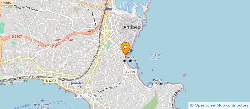 localisation de l'entreprise MADAME INA-SIMONA FOCSANEANU à ANTIBES