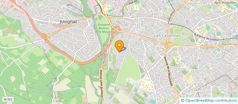 localisation de l'entreprise MADAME INAS ERRAFI  MONTPELLIER