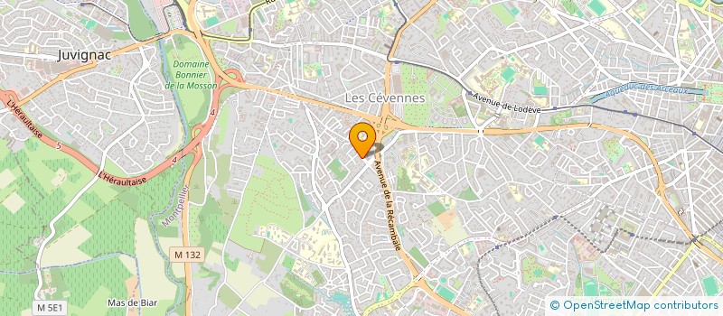 localisation de l'entreprise MADAME INES ALLALI à MONTPELLIER