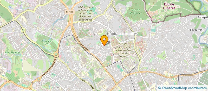 localisation de l'entreprise MADAME INES BENGUEDDOUDJ à MONTPELLIER
