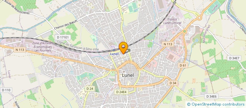 localisation de l'entreprise MADAME INES BRAIKI à LUNEL