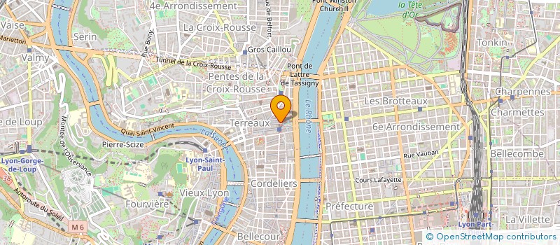 localisation de l'entreprise MADAME INES COUNOT à LYON